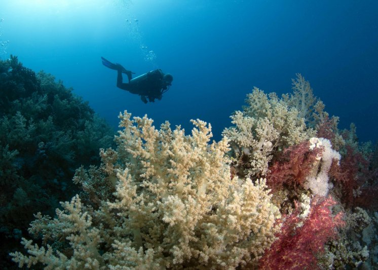 Red Sea - May 2023 